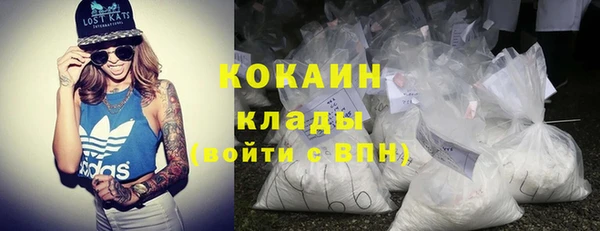 PSILOCYBIN Белокуриха