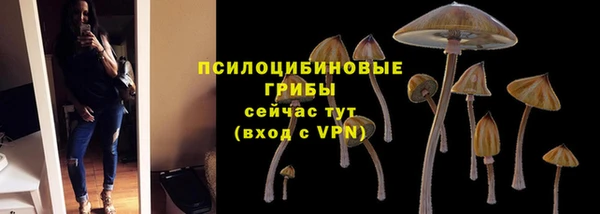 PSILOCYBIN Белокуриха