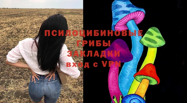 ГАЛЛЮЦИНОГЕННЫЕ ГРИБЫ Белоозёрский