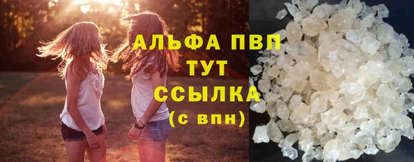 PSILOCYBIN Белокуриха