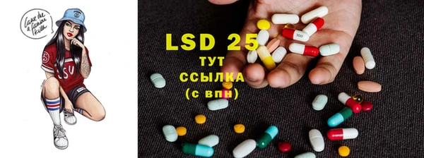 ГАЛЛЮЦИНОГЕННЫЕ ГРИБЫ Белоозёрский