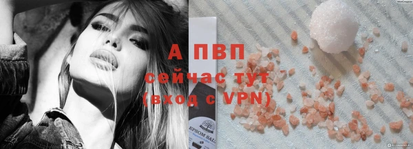 PSILOCYBIN Белокуриха