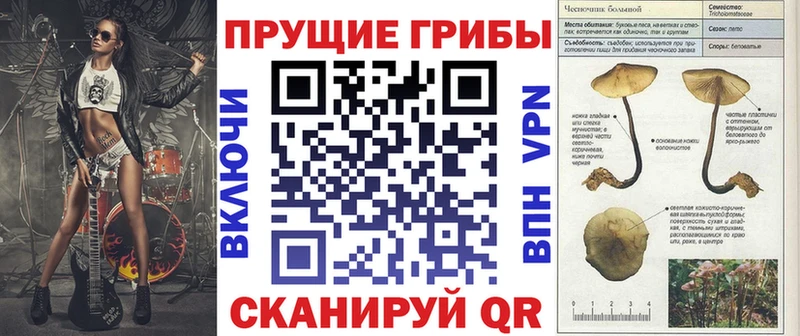 кракен как войти  как найти наркотики  Яблоновский  Псилоцибиновые грибы Psilocybine cubensis 
